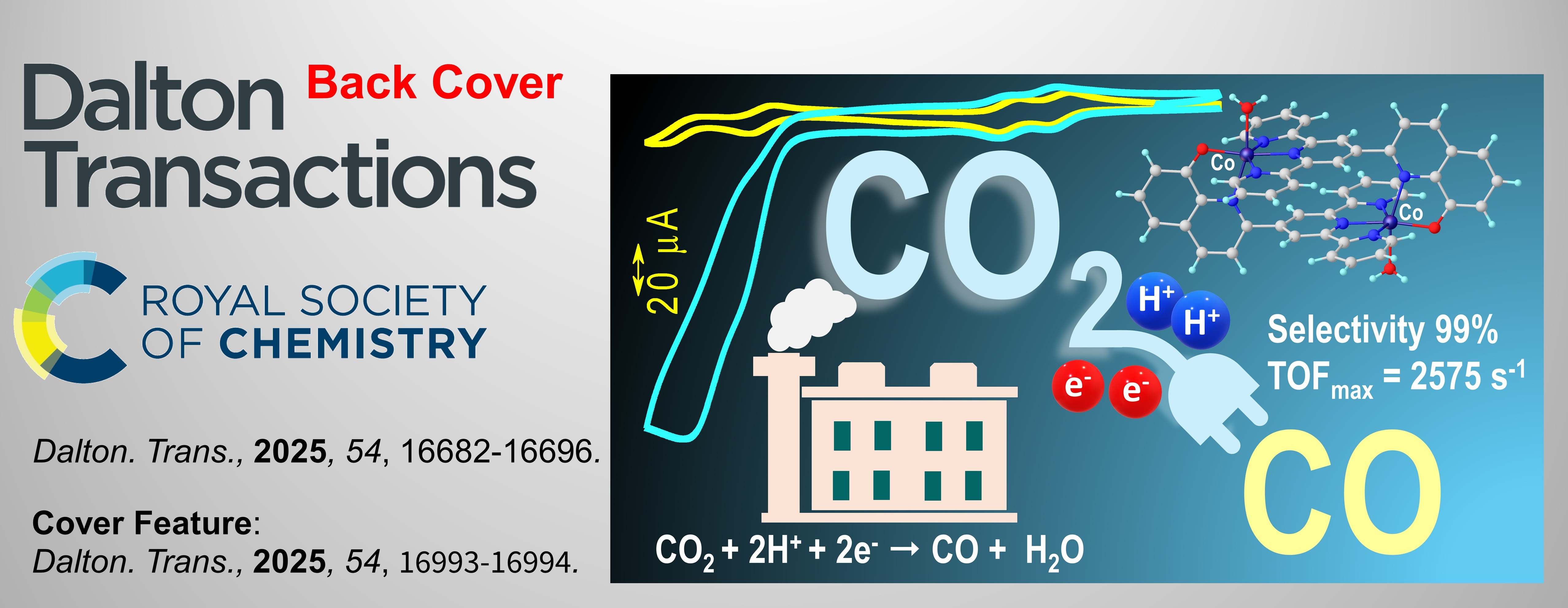 Opt wizard thumbnail